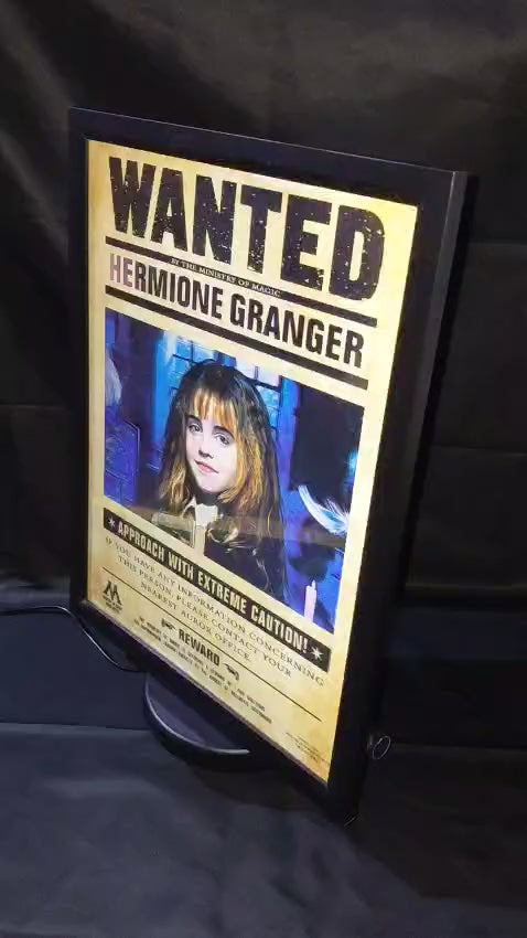 Poster lenticular 3D - Harry Potter - trio mágico procurado - A967